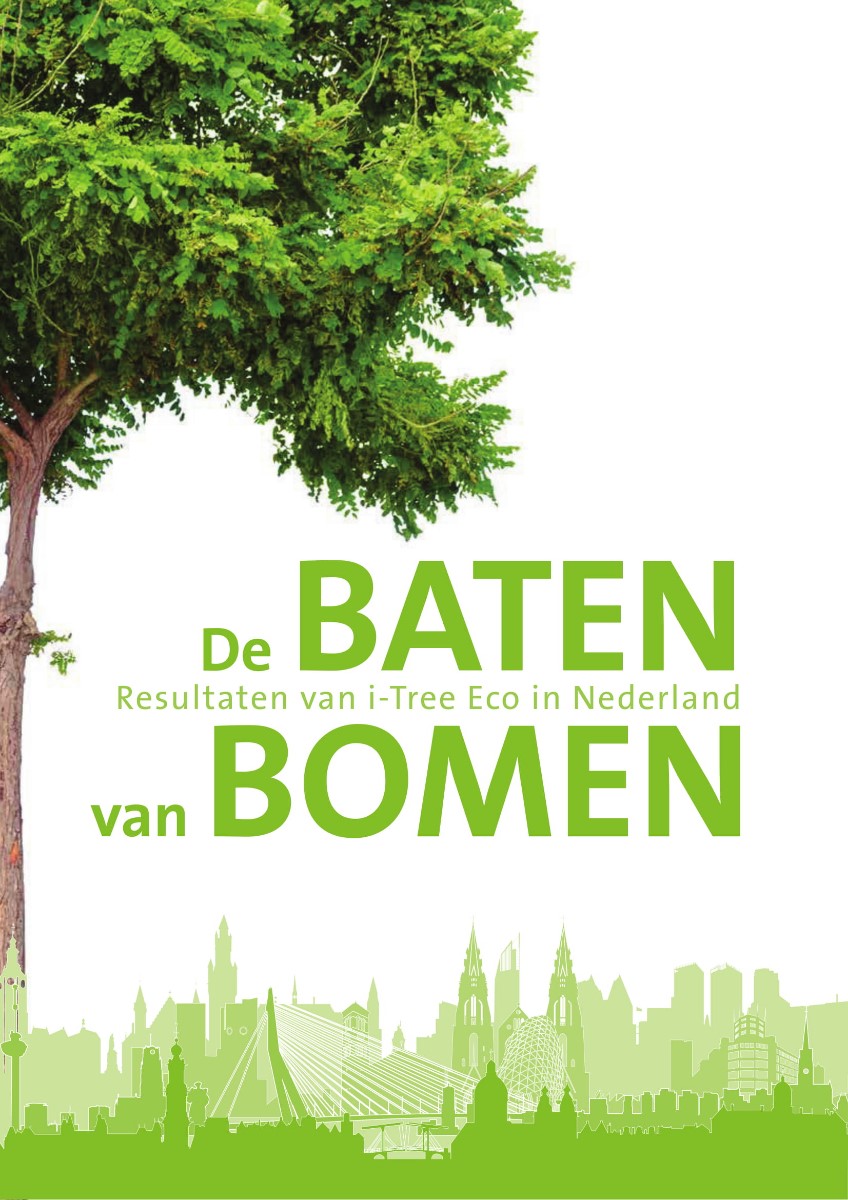 Bericht De Baten van Bomen: de resultaten van i-Tree Eco in Nederland bekijken